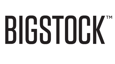 bigstock logo