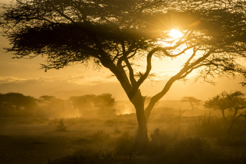 GEP Africa Photo Expedition - Kristen Bentz
