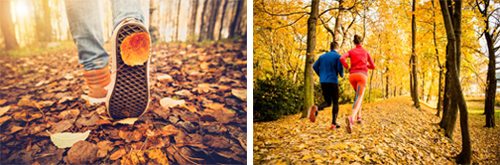 stock photos showing fall outdoor activities