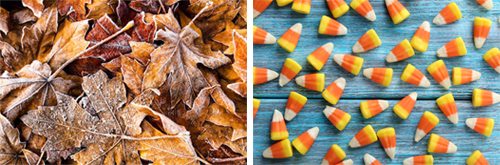 Fall themed stock photography