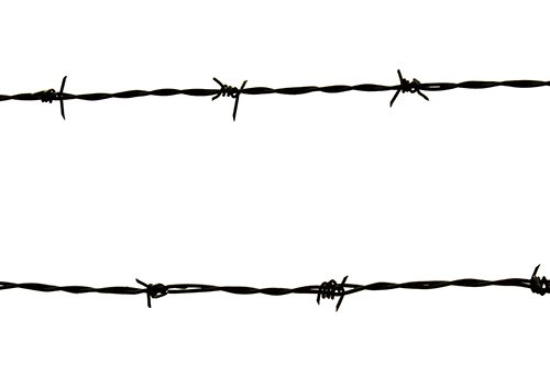 Barbed wire Alamy stock photo