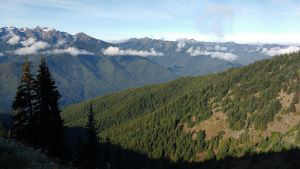 10hurricane ridge by tamatha hazen