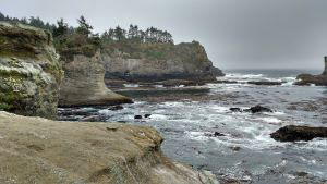 6cape flattery trail by tamatha hazen