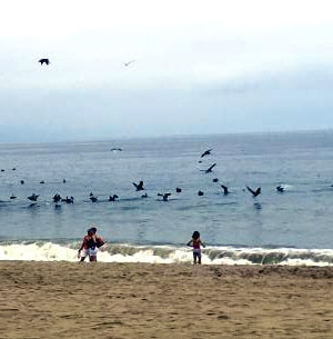 puerto vallarta malecon gage