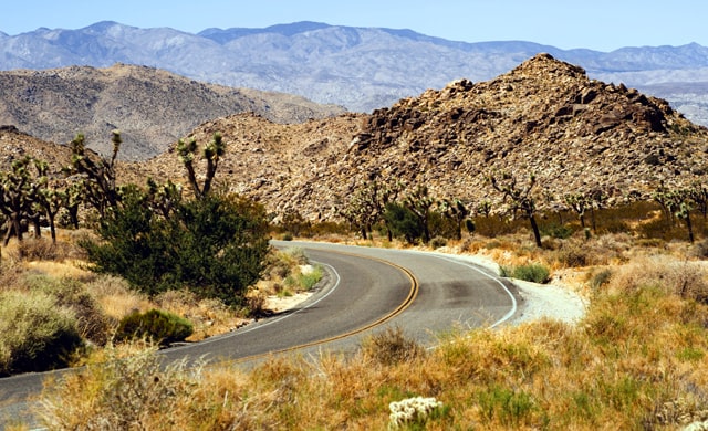 joshua tree park road