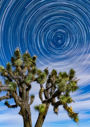 star trails