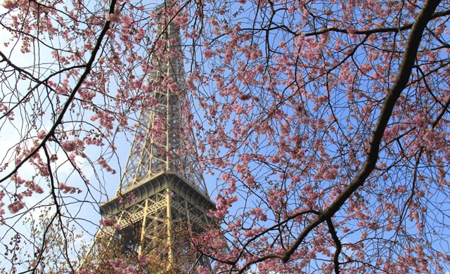 paris in spring