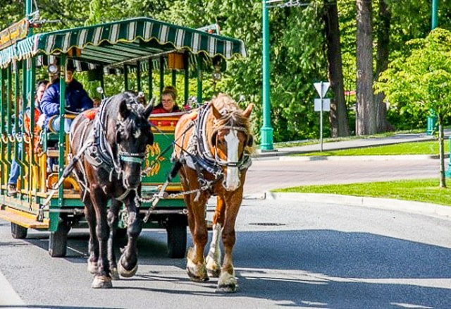 horse drawn carriage