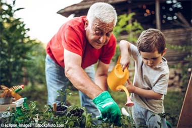 gardening stock photo