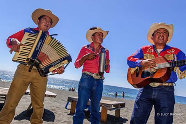 mariachi band by lucy brown