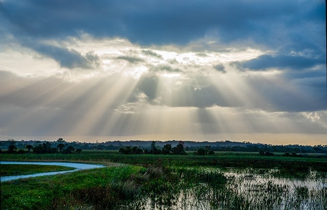 Florida sunbeams