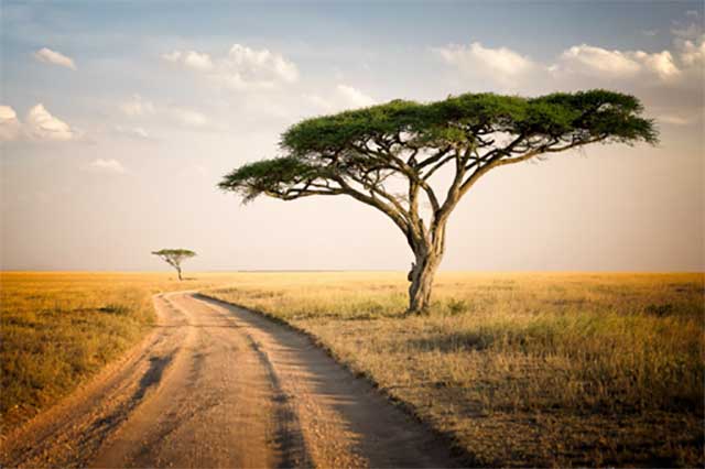 1. Tanzania landscape